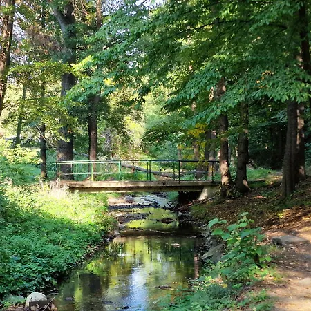 Za Odmor Jovanovic Penzion Bor