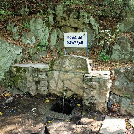 Za Odmor Jovanovic Penzion Bor