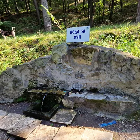 Penzion Za Odmor Jovanovic Bor